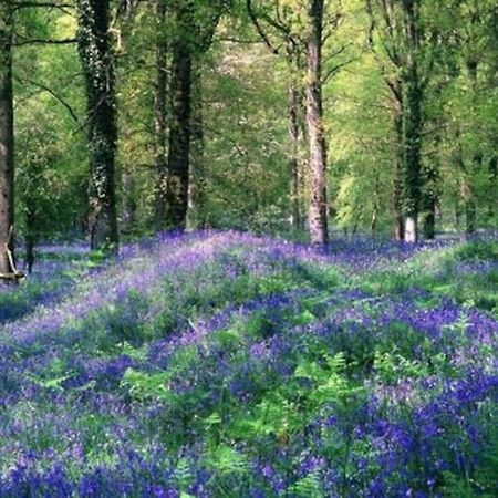 The Cider House Holiday Cottage Welsh Newton Common Екстер'єр фото
