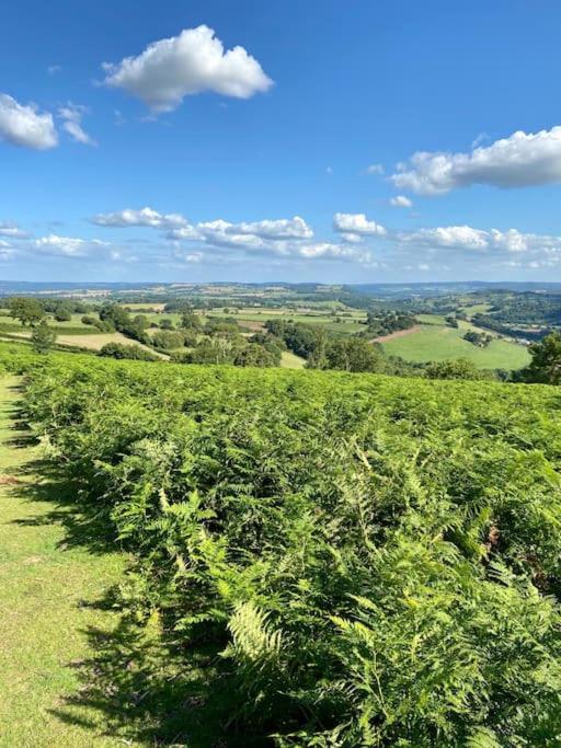 The Cider House Holiday Cottage Welsh Newton Common Екстер'єр фото