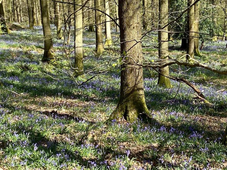 The Cider House Holiday Cottage Welsh Newton Common Екстер'єр фото